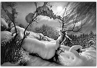 Art & Creativity: winter pencil drawing