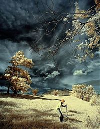 Art & Creativity: infrared photography