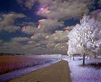 Art & Creativity: infrared photography