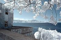 Art & Creativity: infrared photography