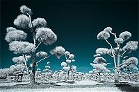 TopRq.com search results: infrared photography