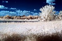 Art & Creativity: infrared photography