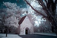 Art & Creativity: infrared photography