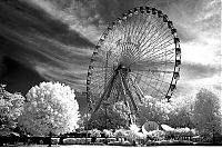 TopRq.com search results: infrared photography