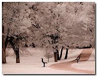 TopRq.com search results: infrared photography