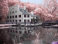 TopRq.com search results: infrared photography