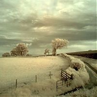 TopRq.com search results: infrared photography