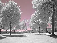 TopRq.com search results: infrared photography