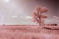 Art & Creativity: infrared photography