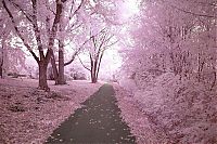 Art & Creativity: infrared photography