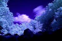 Art & Creativity: infrared photography