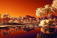 TopRq.com search results: infrared photography