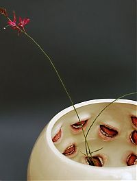 Art & Creativity: Creepy tableware by Ronit Baranga