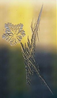 TopRq.com search results: snowflakes art