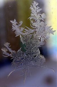 Art & Creativity: snowflakes art