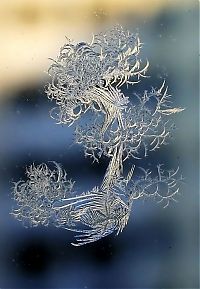 Art & Creativity: snowflakes art