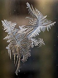 Art & Creativity: snowflakes art