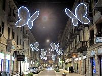Art & Creativity: Light Butterflies by Chiara Lampugnan