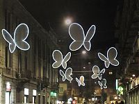 Art & Creativity: Light Butterflies by Chiara Lampugnan