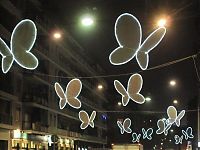 TopRq.com search results: Light Butterflies by Chiara Lampugnan