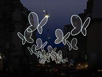 TopRq.com search results: Light Butterflies by Chiara Lampugnan