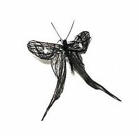 TopRq.com search results: Insects out of human hair by Adrienne Antonson