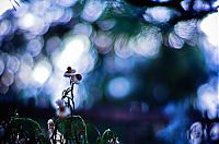 TopRq.com search results: Depth of Field photography by Moaan