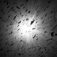 Art & Creativity: black and white photography