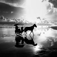 black and white photography