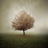 TopRq.com search results: Manipulated photography by Leszek Bujnowski