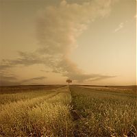 TopRq.com search results: Manipulated photography by Leszek Bujnowski