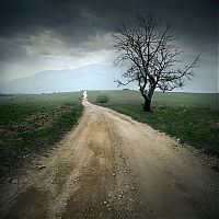 TopRq.com search results: Manipulated photography by Leszek Bujnowski