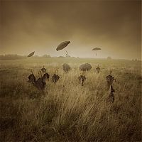 TopRq.com search results: Manipulated photography by Leszek Bujnowski