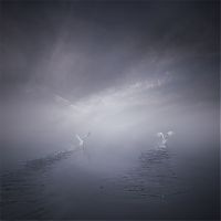 Art & Creativity: Manipulated photography by Leszek Bujnowski