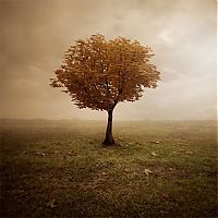 TopRq.com search results: Manipulated photography by Leszek Bujnowski