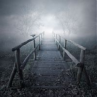 TopRq.com search results: Manipulated photography by Leszek Bujnowski