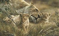 Art & Creativity: Wildlife paintings by Denis Mayer jr.