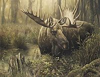 Art & Creativity: Wildlife paintings by Denis Mayer jr.