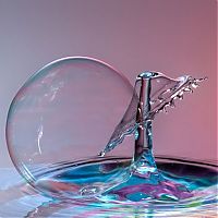 TopRq.com search results: water drops high-speed photography