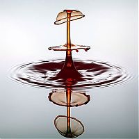 Art & Creativity: water drops high-speed photography