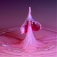 TopRq.com search results: water drops high-speed photography