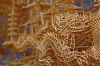 TopRq.com search results: Rolling Through the Bay toothpick sculpture by Scott Weaver