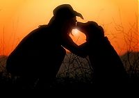 TopRq.com search results: Summer silhouettes by TJ Scott