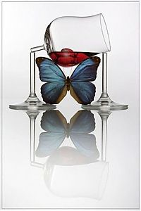 TopRq.com search results: wine glass art