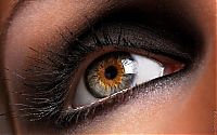 Art & Creativity: macro photography