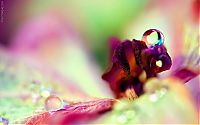 Art & Creativity: macro photography