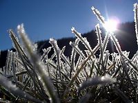 Art & Creativity: macro photography