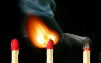 Art & Creativity: macro photography
