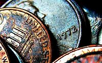 Art & Creativity: macro photography