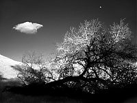 Art & Creativity: black and white landscape photography